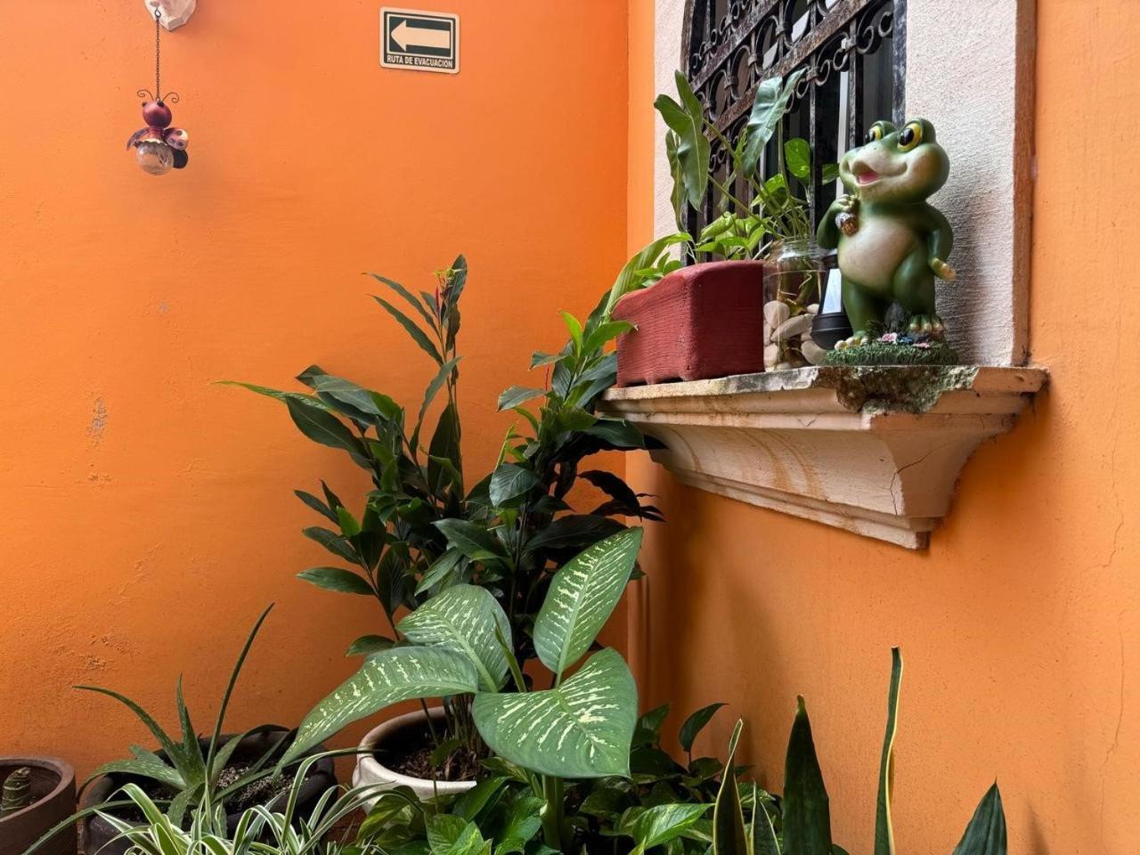 Hotel Casa Mallorca Cancun Ngoại thất bức ảnh