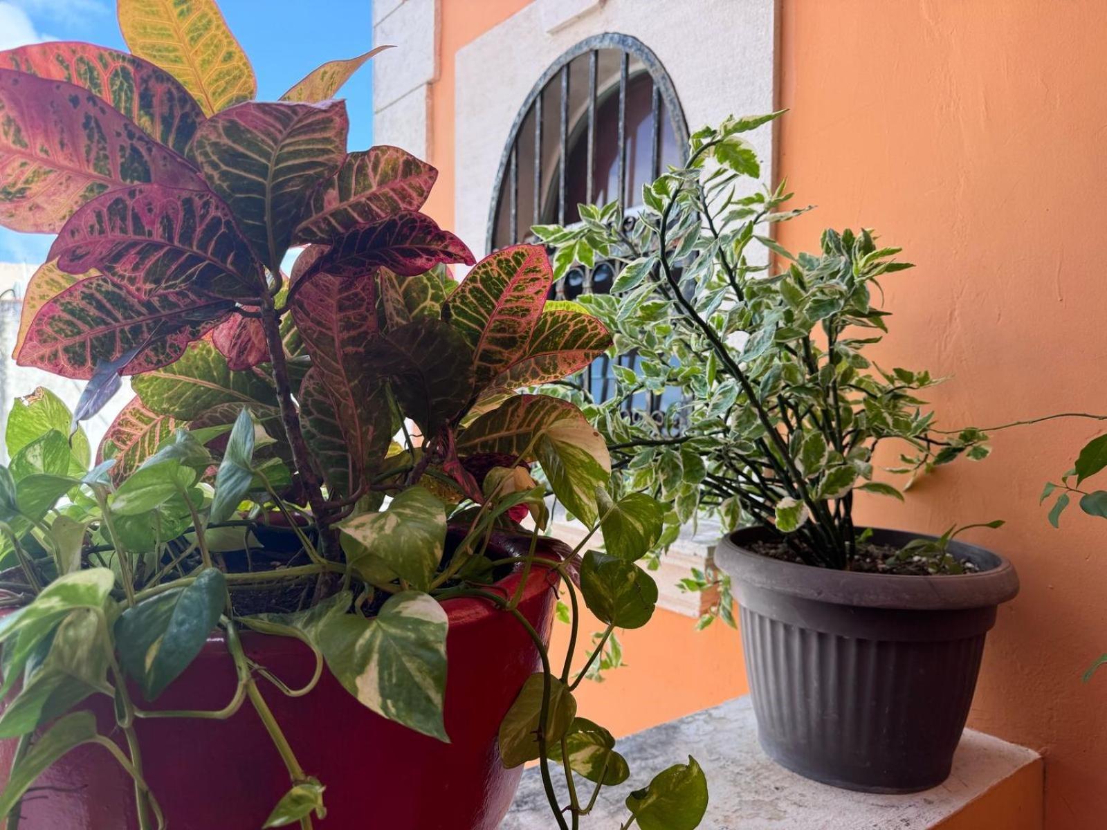 Hotel Casa Mallorca Cancun Ngoại thất bức ảnh