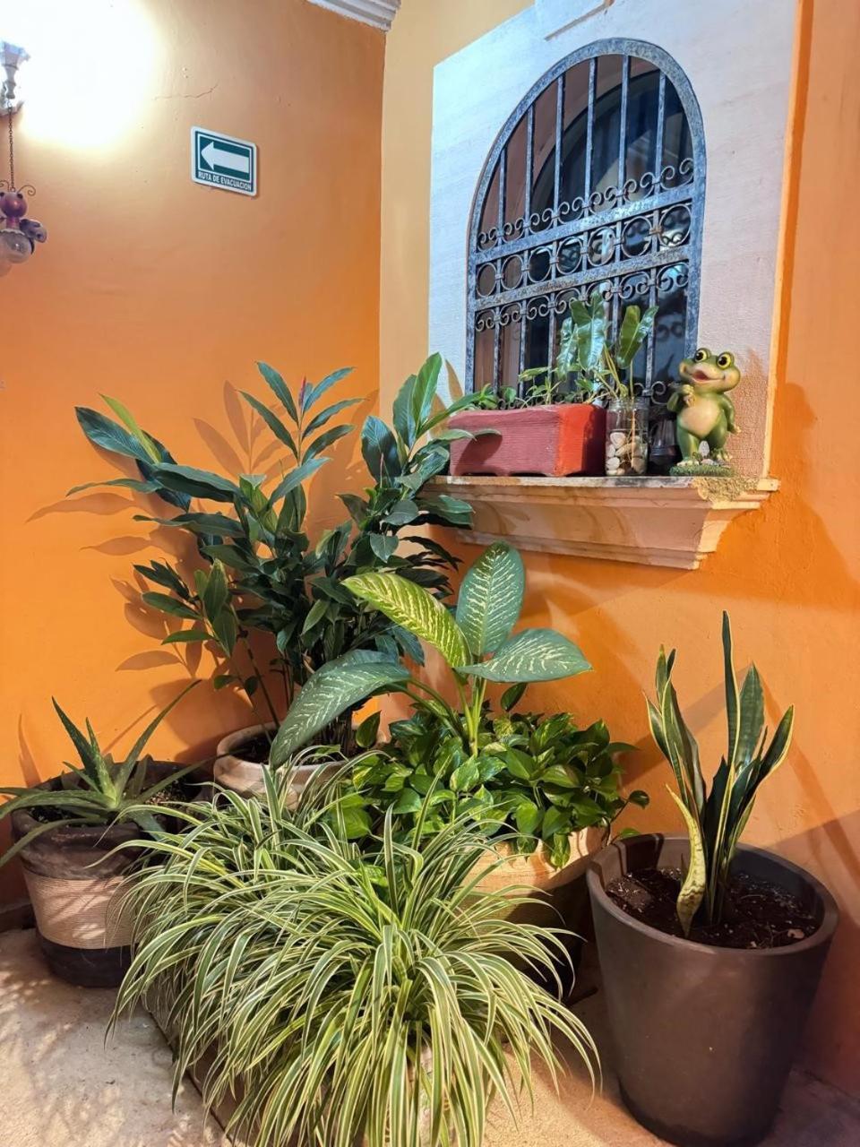 Hotel Casa Mallorca Cancun Ngoại thất bức ảnh