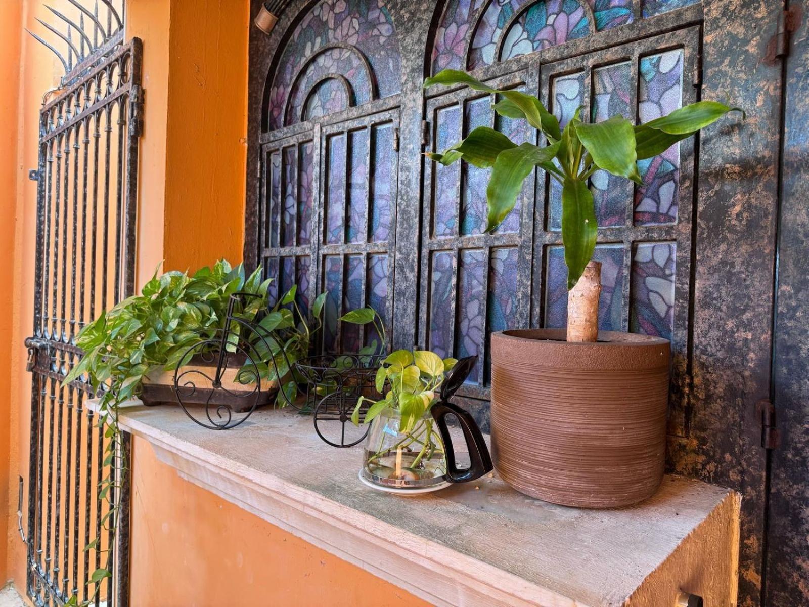 Hotel Casa Mallorca Cancun Ngoại thất bức ảnh